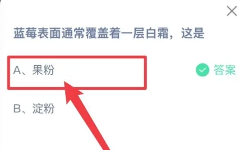 蓝莓表面通常覆盖着一层白霜这是