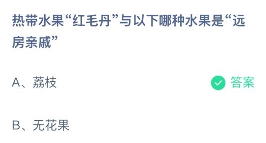 熱帶水果紅毛丹與以下哪種水果是遠(yuǎn)房親戚