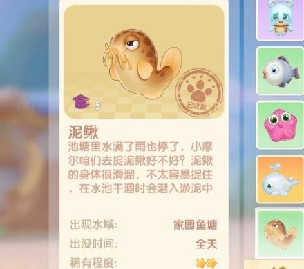 摩尔庄园泥鳅怎么钓 摩尔庄园泥鳅钓鱼位置介绍