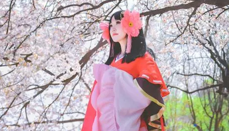 樱花妖哪里多(阴阳师樱花妖哪里多)