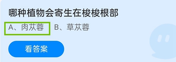 哪种植物会寄生在梭梭根部 11月23日蚂蚁庄园答案