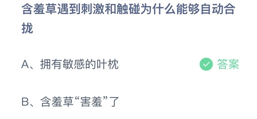 含羞草遇到刺激和触碰为什么能够自动合拢 11月22日蚂蚁庄园答案