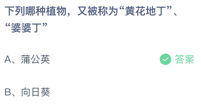 下列哪种植物，又被称为黄花地丁、婆婆丁 11月30日蚂蚁庄园答案