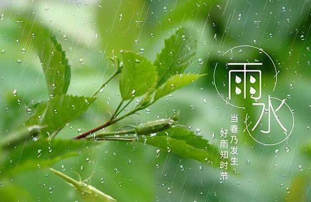 雨水节气一定会下雨吗