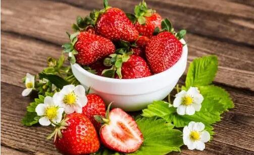 我们平常吃的草莓其实是它的什么部位 3月10日蚂蚁庄园答案