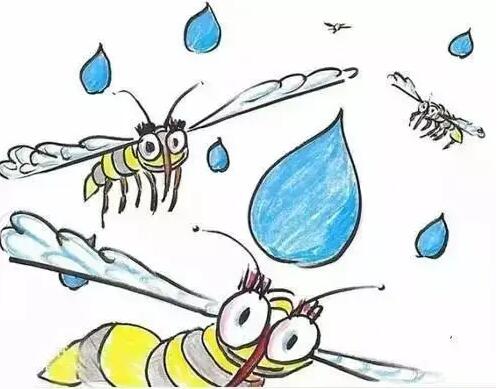为什么下雨天时蚊子不会被雨滴砸死 6月9日蚂蚁庄园答案