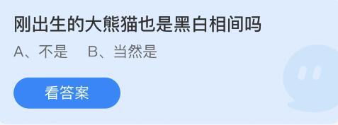 刚出生的大熊猫也是黑白相间吗 6月16日蚂蚁庄园答案