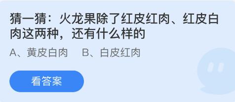 火龙果除了红皮红肉红皮白肉这两种还有什么样的 蚂蚁庄园