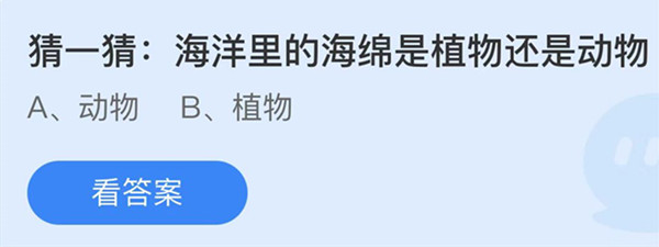 海洋里的海绵是植物还是动物 蚂蚁庄园答案