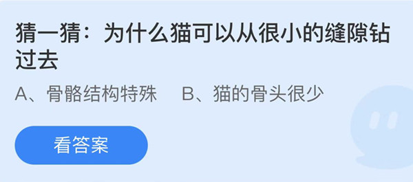 为什么猫可以从很小的缝隙钻过去 蚂蚁庄园答案