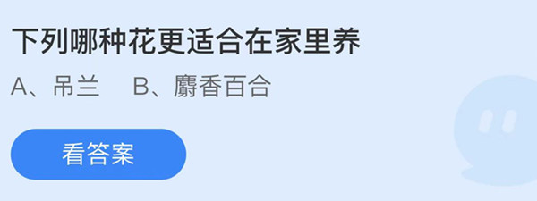 下列哪种花更适合在家里养 蚂蚁庄园答案