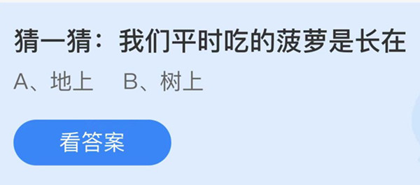 我们平时吃的菠萝是长在 蚂蚁庄园答案