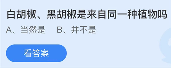 白胡椒黑胡椒是来自同一种植物吗 蚂蚁庄园答案