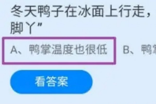 冬天鸭子在冰面上行走为什么不怕冻脚丫 蚂蚁庄园今日答案