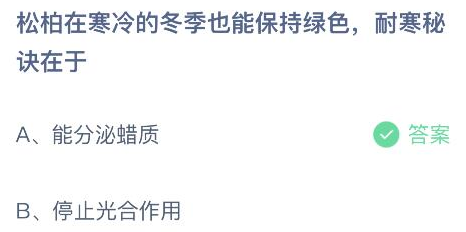 松柏在寒冷的冬季也能保持绿色耐寒秘诀在于 蚂蚁庄园今日答案