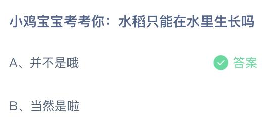 水稻只能在水里生长吗 蚂蚁庄园3月25日最新答案