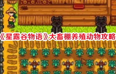 星露谷物语大畜棚养什么好 最赚钱动物养殖攻略