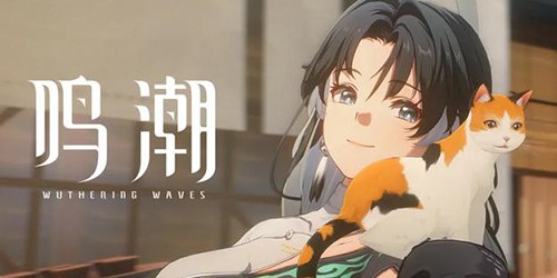 鸣潮节奏榜 鸣潮强度榜