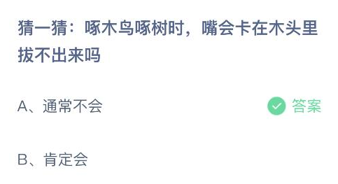 啄木鸟啄树时嘴会卡在木头里拔不出来吗 蚂蚁庄园今日答案