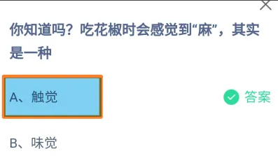 吃花椒时会感觉到麻其实是一种