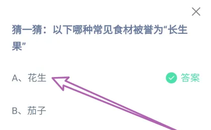 以下哪种常见食材被誉为长生果 正确答案花生