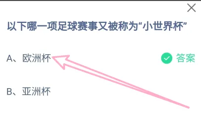 以下哪一項(xiàng)足球賽事又被稱(chēng)為小世界杯 螞蟻莊園最新答案