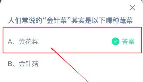 人们常说的金针菜其实是以下哪种蔬菜 答案黄花菜