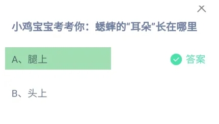 蟋蟀的耳朵長在哪里 螞蟻莊園最新答案