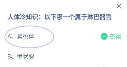 蚂蚁庄园10月15日答案最新版2024年 正确答案在这里