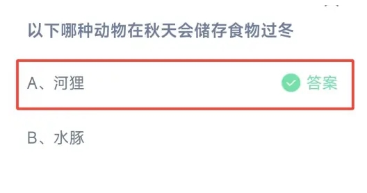 以下哪种动物在秋天会储存食物过冬